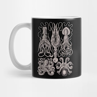 Ernst Haeckel Gamochonia Octopus Lavender Grey Mug